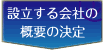 設立する会社の決定の概要